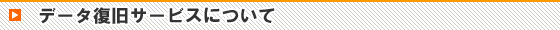 �f�[�^���� ���� �~�o �T���x�[�W Windows Mac HDD �f�W�J�� �r�f�I�J���� �f�[�^���X�L���[�P�P�X �f�[�^�����T�[�r�X�ɂ���