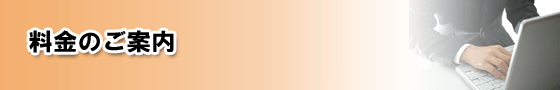 �f�[�^���� ���� �~�o �T���x�[�W Windows Mac HDD �f�W�J�� �r�f�I�J���� �f�[�^���X�L���[�P�P�X �����̂��ē�