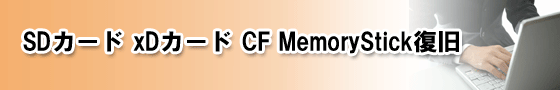SD�J�[�h xD�J�[�h CF���� | �f�[�^���� �f�[�^���� �f�[�^�~�o �f�[�^���X�L���[�P�P�X