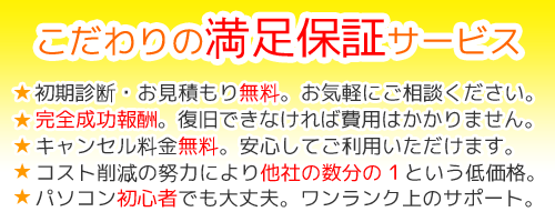 �f�[�^���� ���� �~�o �T���x�[�W Windows Mac HDD �f�W�J�� �r�f�I�J���� �f�[�^���X�L���[�P�P�X ����