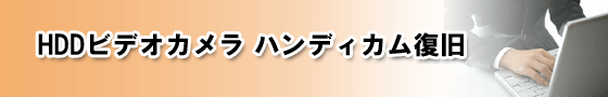 �f�W�^���r�f�I�J�����̃f�[�^����