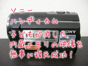 HDR-PJ590V復元 ソニーハンディカム映像データ削除
