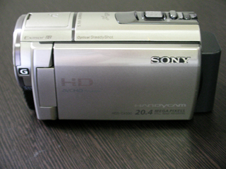 SONY HDR-CX590V